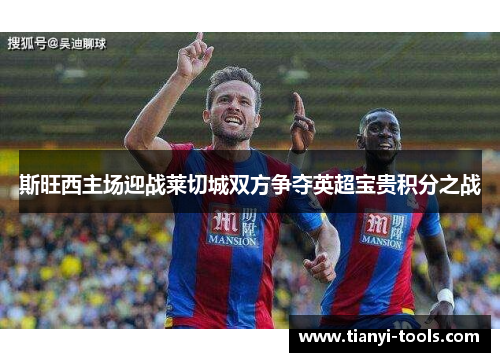 斯旺西主场迎战莱切城双方争夺英超宝贵积分之战